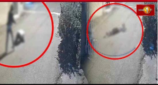 கொட்டாஞ்சேனையில் ஒருவர் சுட்டுக்கொலை : 6 பேர் கைது